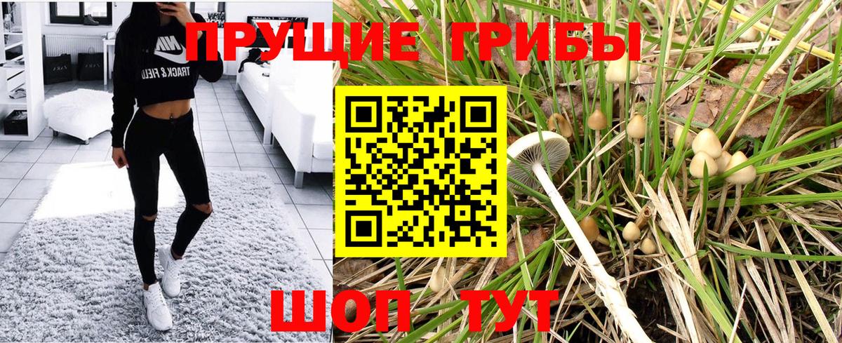 Псилоцибиновые грибы прущие грибы Егорьевск